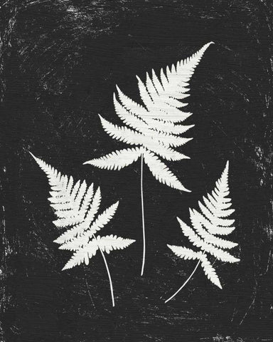 Forest Shadows IV Black Crop Black Ornate Wood Framed Art Print with Double Matting by Hershey, Moira