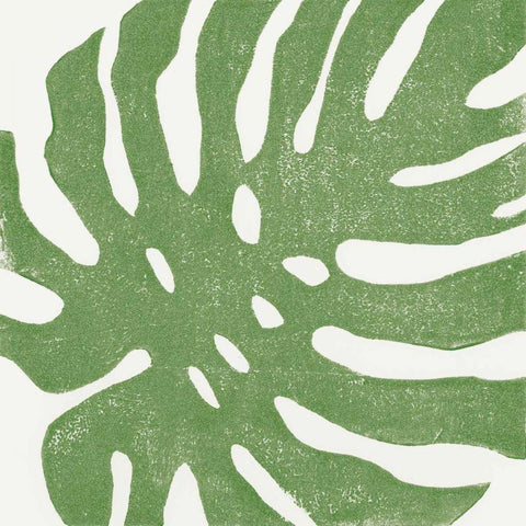 Tropical Treasures I White Modern Wood Framed Art Print with Double Matting by Hershey, Moira