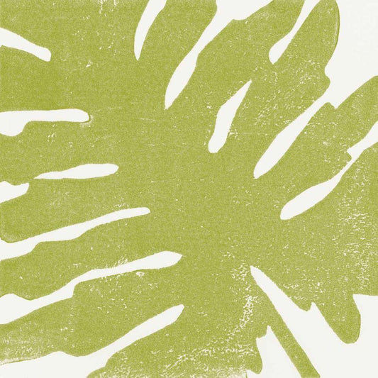 Image Only