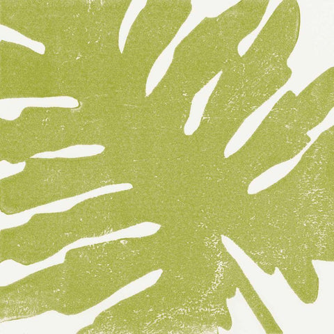 Tropical Treasures IV White Modern Wood Framed Art Print with Double Matting by Hershey, Moira