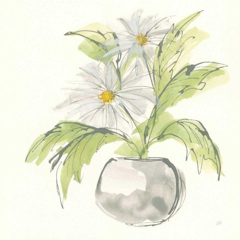 Plant Daisy II White Modern Wood Framed Art Print by Paschke, Chris