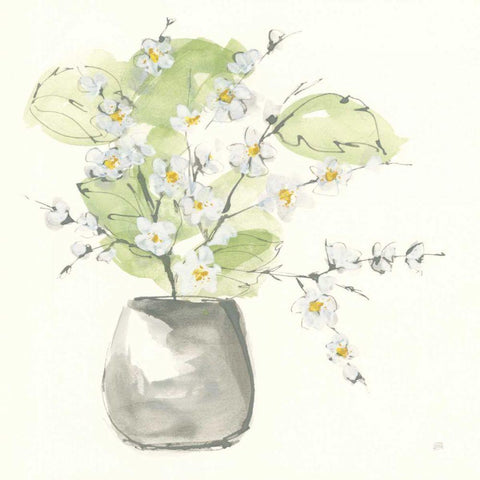 Plant Blossom I Black Modern Wood Framed Art Print with Double Matting by Paschke, Chris