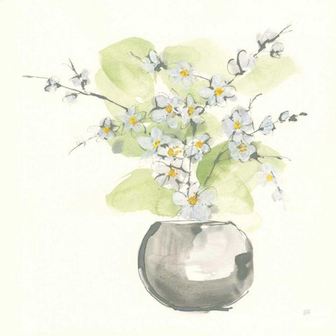 Plant Blossom II White Modern Wood Framed Art Print with Double Matting by Paschke, Chris