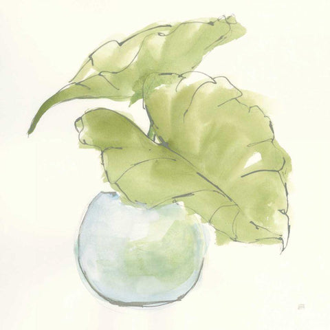 Plant Big Leaf III White Modern Wood Framed Art Print with Double Matting by Paschke, Chris