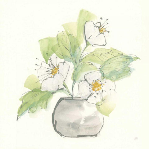 Plant Poppy I Black Modern Wood Framed Art Print by Paschke, Chris