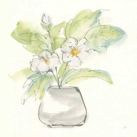 Plant Poppy II White Modern Wood Framed Art Print with Double Matting by Paschke, Chris