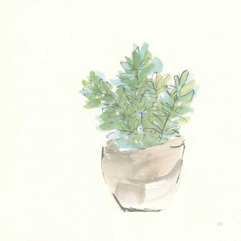 Succulent II White Modern Wood Framed Art Print by Paschke, Chris