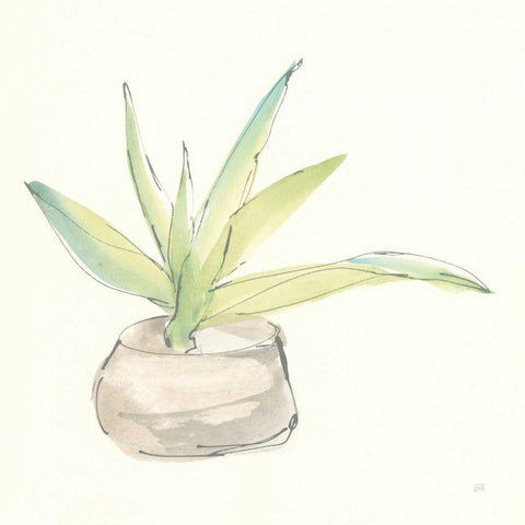 Succulent III White Modern Wood Framed Art Print by Paschke, Chris