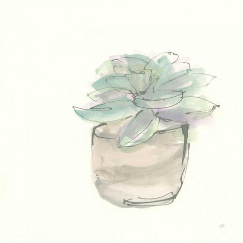 Succulent IV White Modern Wood Framed Art Print by Paschke, Chris