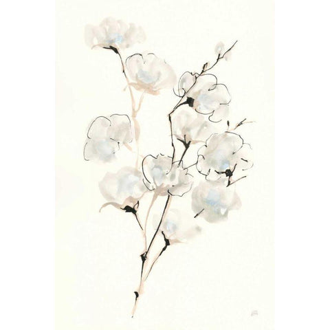 Summer Cotton III White Modern Wood Framed Art Print by Paschke, Chris