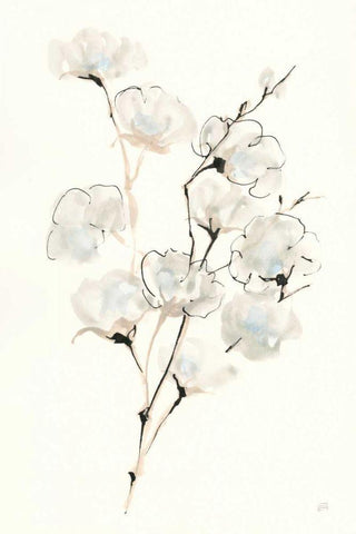 Summer Cotton III Black Ornate Wood Framed Art Print with Double Matting by Paschke, Chris