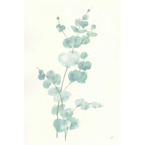 Eucalyptus Branch II Black Modern Wood Framed Art Print with Double Matting by Paschke, Chris