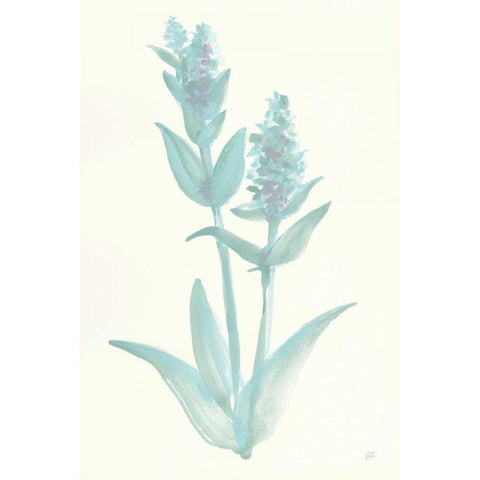 Lambs Ear Sage I Black Modern Wood Framed Art Print with Double Matting by Paschke, Chris