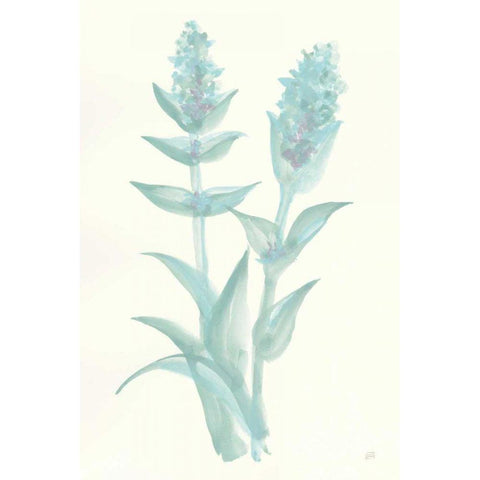 Lambs Ear Sage II Black Modern Wood Framed Art Print with Double Matting by Paschke, Chris