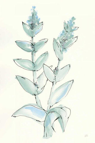 Lambs Ear Sage III White Modern Wood Framed Art Print with Double Matting by Paschke, Chris