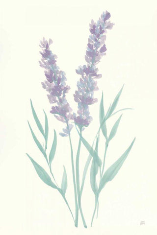 Lavender I Black Ornate Wood Framed Art Print with Double Matting by Paschke, Chris