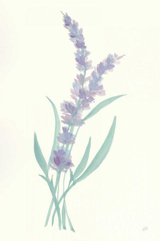 Lavender II White Modern Wood Framed Art Print with Double Matting by Paschke, Chris