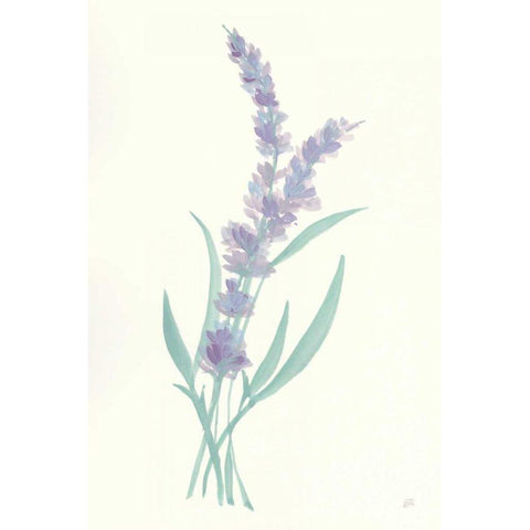 Lavender II Black Modern Wood Framed Art Print with Double Matting by Paschke, Chris