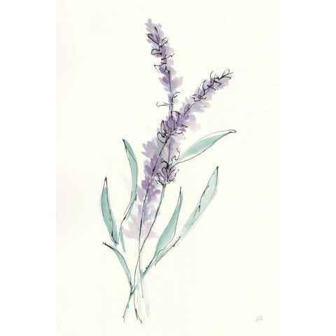 Lavender IV Black Modern Wood Framed Art Print with Double Matting by Paschke, Chris