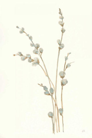 Pussy Willows I White Modern Wood Framed Art Print with Double Matting by Paschke, Chris