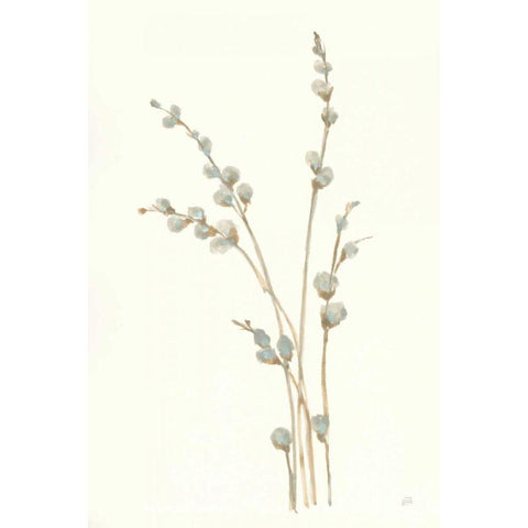 Pussy Willows I White Modern Wood Framed Art Print by Paschke, Chris