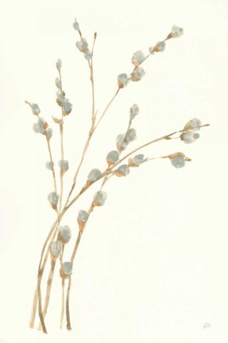 Pussy Willows II White Modern Wood Framed Art Print with Double Matting by Paschke, Chris