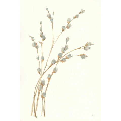 Pussy Willows II Black Modern Wood Framed Art Print by Paschke, Chris