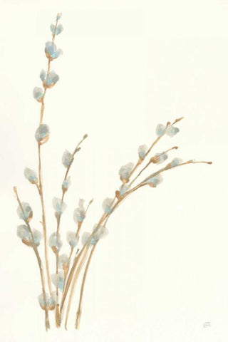 Pussy Willows III White Modern Wood Framed Art Print with Double Matting by Paschke, Chris