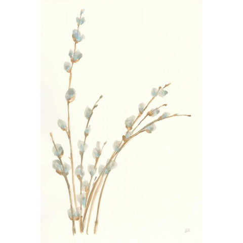 Pussy Willows III Black Modern Wood Framed Art Print by Paschke, Chris