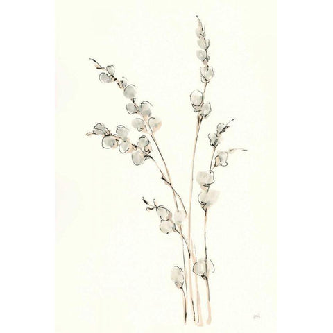 Pussy Willows IV Black Modern Wood Framed Art Print with Double Matting by Paschke, Chris