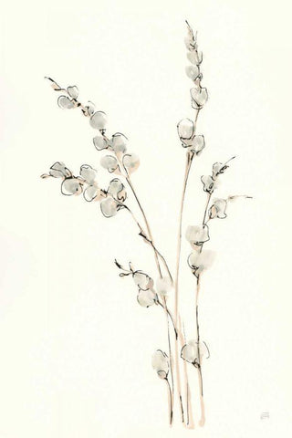 Pussy Willows IV White Modern Wood Framed Art Print with Double Matting by Paschke, Chris