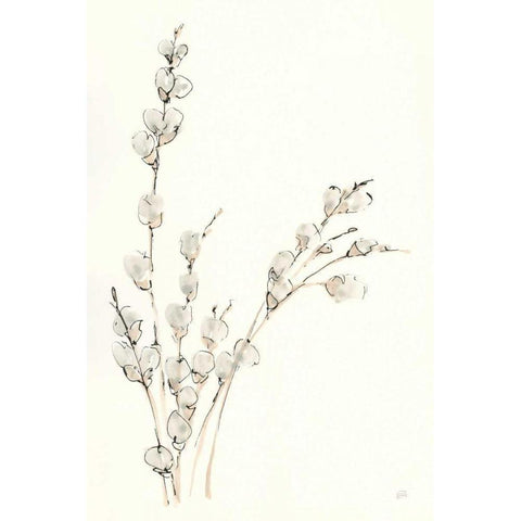 Pussy Willows V Gold Ornate Wood Framed Art Print with Double Matting by Paschke, Chris