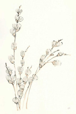 Pussy Willows V Black Ornate Wood Framed Art Print with Double Matting by Paschke, Chris