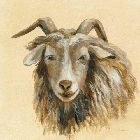 Highland Animal Sheep White Modern Wood Framed Art Print by Vassileva, Silvia