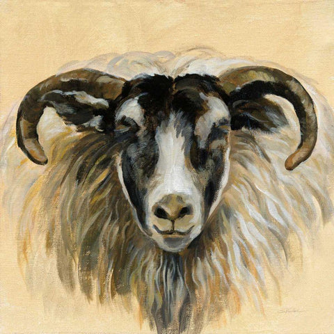 Highland Animal Ram Black Ornate Wood Framed Art Print with Double Matting by Vassileva, Silvia