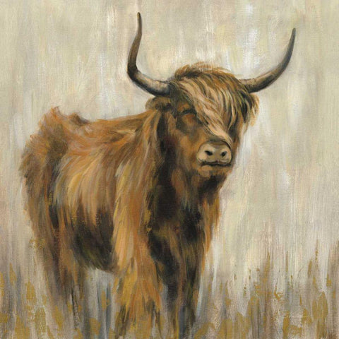 Highland Mountain Cow Black Modern Wood Framed Art Print with Double Matting by Vassileva, Silvia