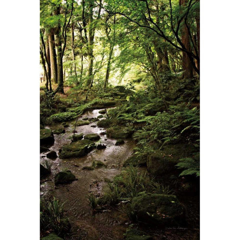 Lush Creek in Forest Gold Ornate Wood Framed Art Print with Double Matting by Van Swearingen, Debra