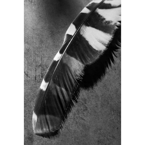 Feather Shadow II White Modern Wood Framed Art Print by Van Swearingen, Debra