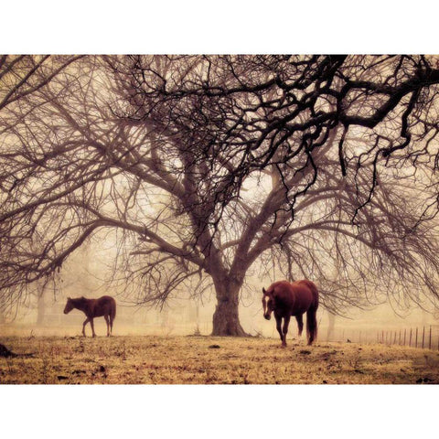 Morning Calm II Black Modern Wood Framed Art Print by Van Swearingen, Debra