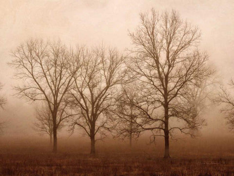 Morning Calm III Black Ornate Wood Framed Art Print with Double Matting by Van Swearingen, Debra