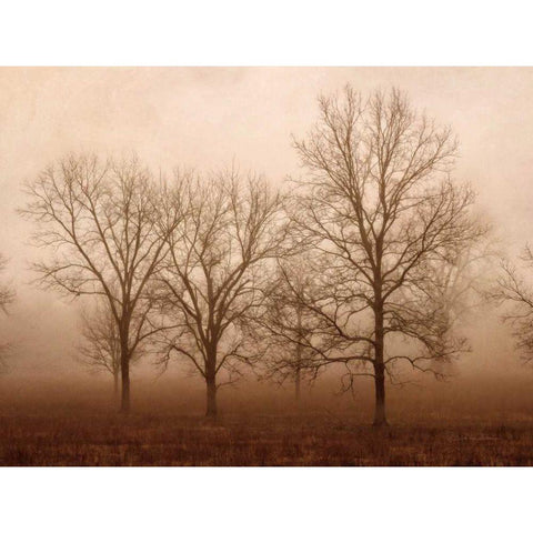 Morning Calm III Black Modern Wood Framed Art Print by Van Swearingen, Debra