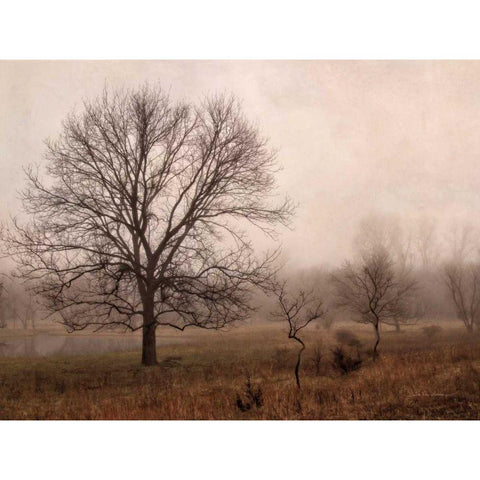 Morning Calm IV White Modern Wood Framed Art Print by Van Swearingen, Debra