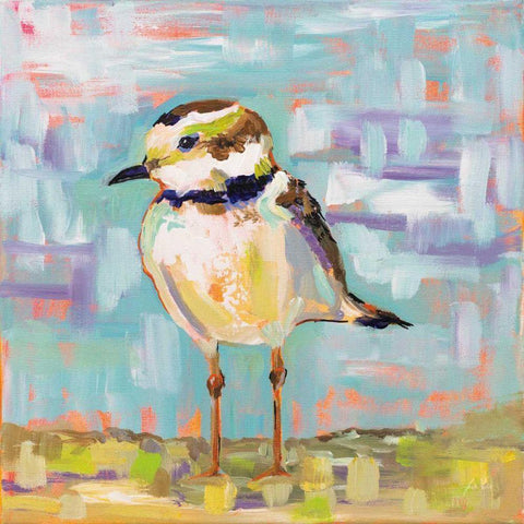 Coastal Plover II Black Ornate Wood Framed Art Print with Double Matting by Vertentes, Jeanette