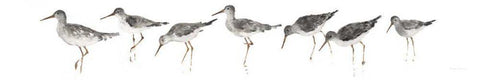 Sandpipers Panel Gray White Modern Wood Framed Art Print with Double Matting by Tillmon, Avery