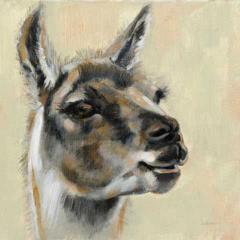 Llama Portrait Black Modern Wood Framed Art Print with Double Matting by Vassileva, Silvia