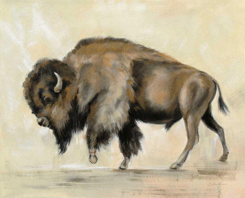 Bronze Buffalo White Modern Wood Framed Art Print with Double Matting by Vassileva, Silvia