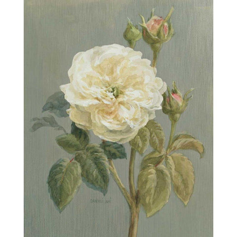 Heirloom White Rose White Modern Wood Framed Art Print by Nai, Danhui