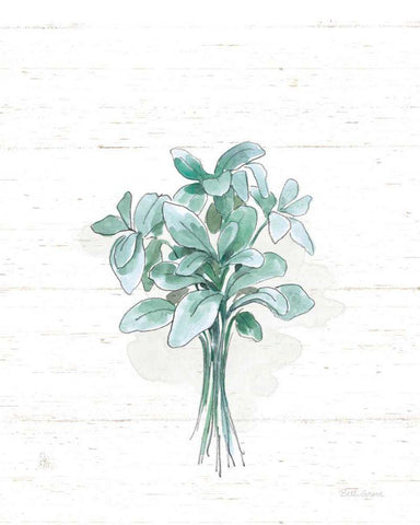 Farmhouse Cotton VI No Words Black Ornate Wood Framed Art Print with Double Matting by Grove, Beth