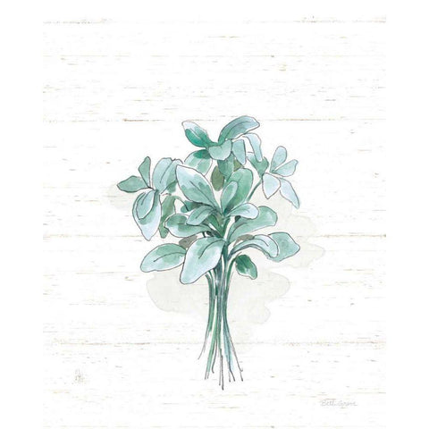 Farmhouse Cotton VI No Words Gold Ornate Wood Framed Art Print with Double Matting by Grove, Beth