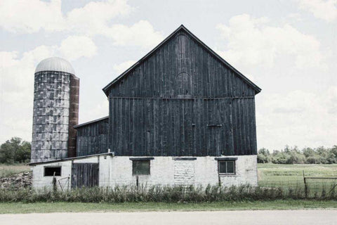 Weathered III Navy Wood Black Ornate Wood Framed Art Print with Double Matting by Urquhart, Elizabeth